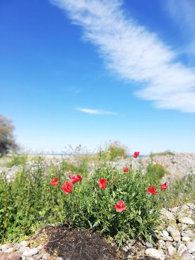 Civico33 Villa Rocca Imperiale Dış mekan fotoğraf